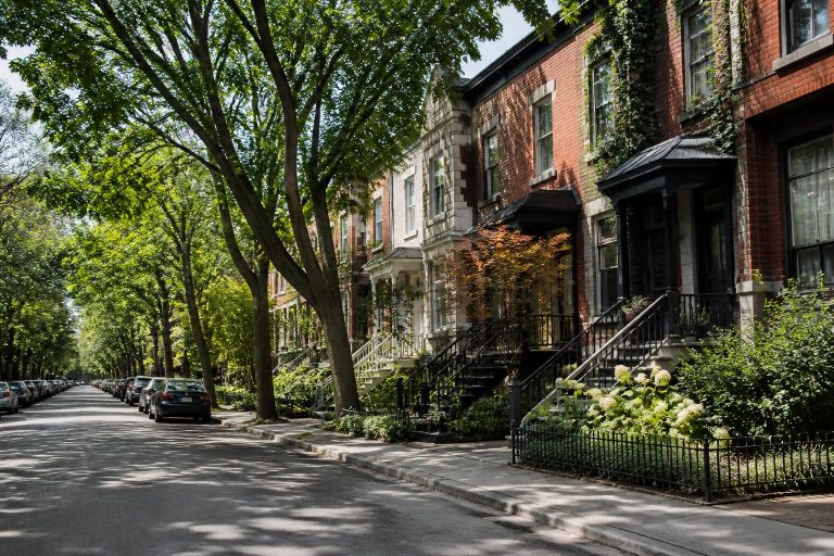 North Park